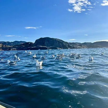 Aurora Sea Resort